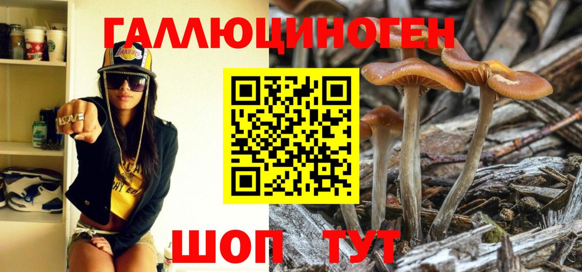 Псилоцибиновые грибы Psilocybine cubensis  Вход с VPN  Саров 