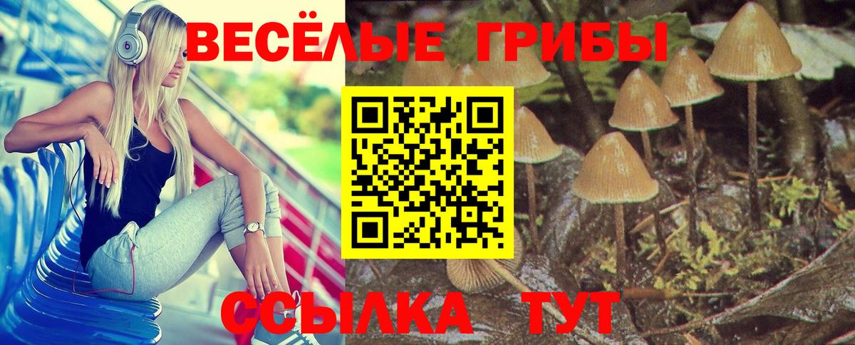 Галлюциногенные грибы мицелий Саров